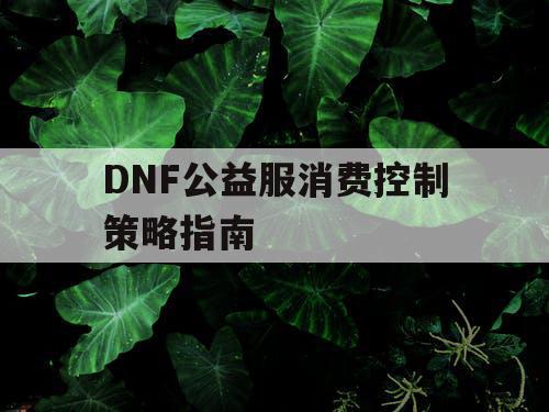 DNF公益服消费控制策略指南