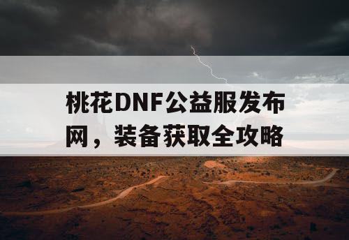 桃花DNF公益服发布网	，装备获取全攻略