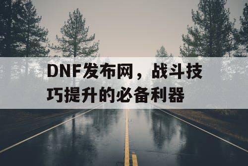 DNF发布网	，战斗技巧提升的必备利器