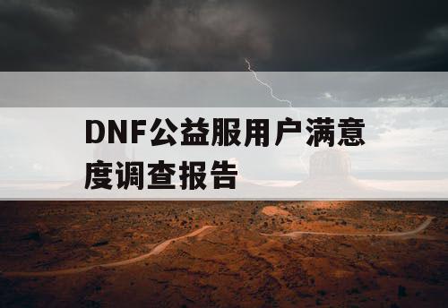 DNF公益服用户满意度调查报告