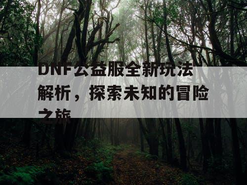 DNF公益服全新玩法解析，探索未知的冒险之旅