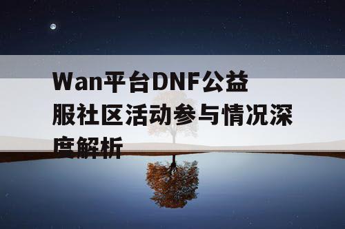 Wan平台DNF公益服社区活动参与情况深度解析