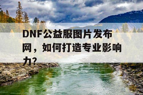 DNF公益服图片发布网，如何打造专业影响力？