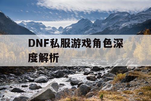 DNF私服游戏角色深度解析