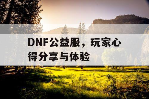 DNF公益服，玩家心得分享与体验