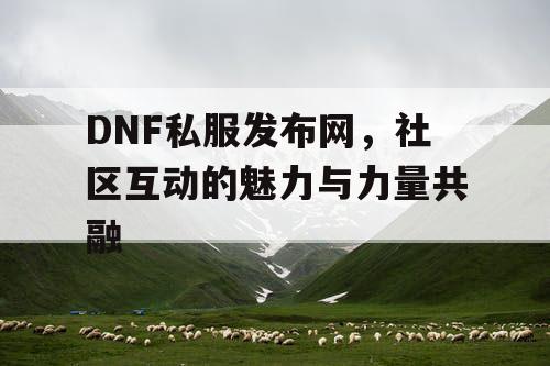 DNF私服发布网，社区互动的魅力与力量共融