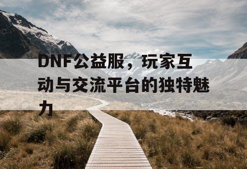 DNF公益服	，玩家互动与交流平台的独特魅力