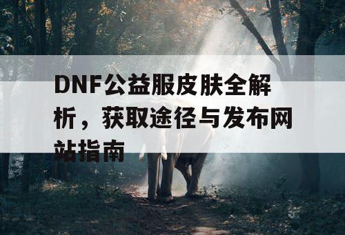 DNF公益服皮肤全解析，获取途径与发布网站指南