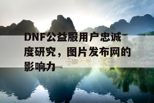 DNF公益服用户忠诚度研究，图片发布网的影响力