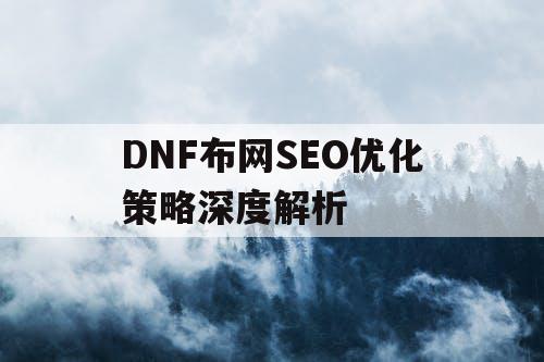 DNF布网SEO优化策略深度解析