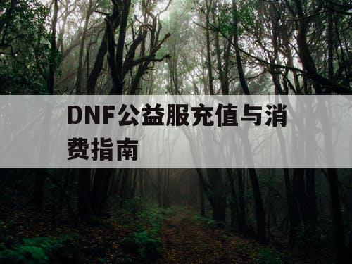 DNF公益服充值与消费指南