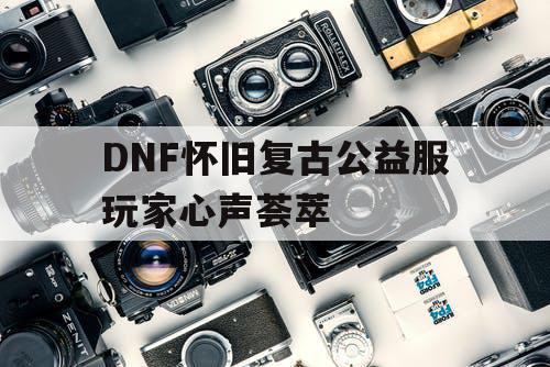 DNF怀旧复古公益服玩家心声荟萃