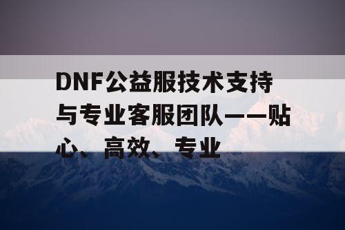 DNF公益服技术支持与专业客服团队——贴心、高效、专业