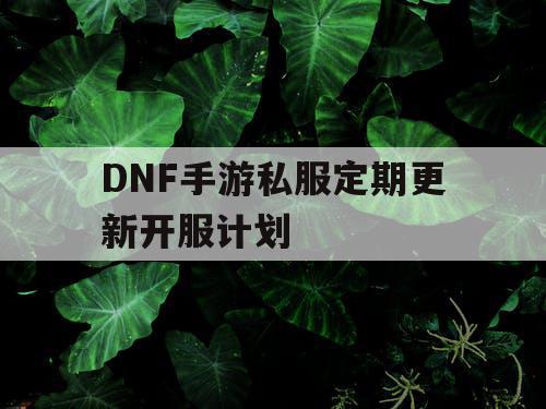 DNF手游私服定期更新开服计划