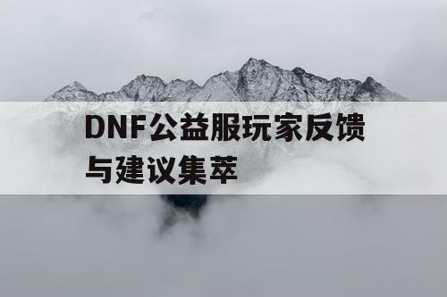 DNF公益服玩家反馈与建议集萃