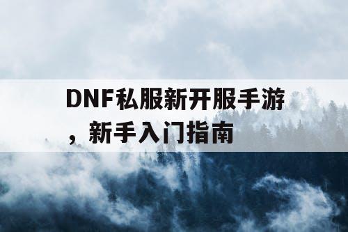 DNF私服新开服手游	，新手入门指南