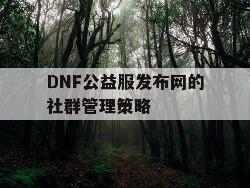 DNF公益服发布网的社群管理策略