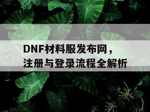 DNF材料服发布网，注册与登录流程全解析