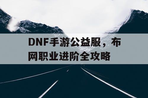 DNF手游公益服，布网职业进阶全攻略