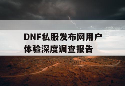 DNF私服发布网用户体验深度调查报告