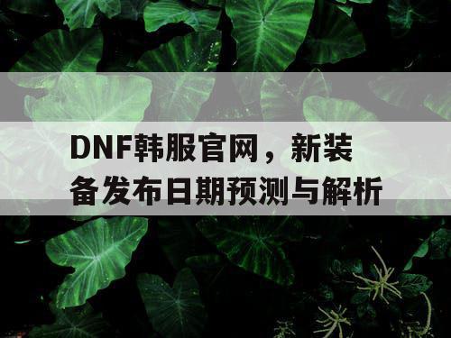 DNF韩服官网，新装备发布日期预测与解析