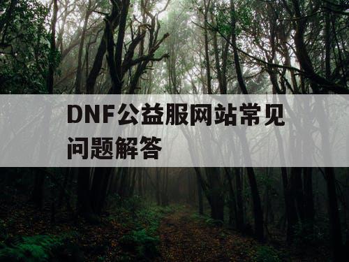 DNF公益服网站常见问题解答