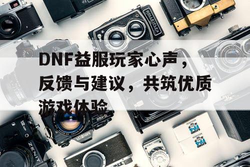 DNF益服玩家心声	，反馈与建议，共筑优质游戏体验