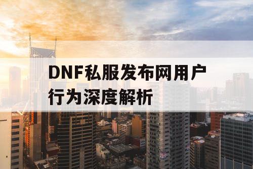 DNF私服发布网用户行为深度解析