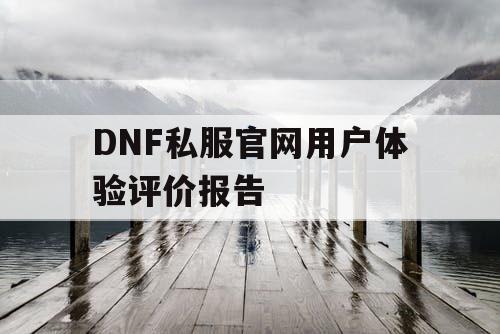 DNF私服官网用户体验评价报告