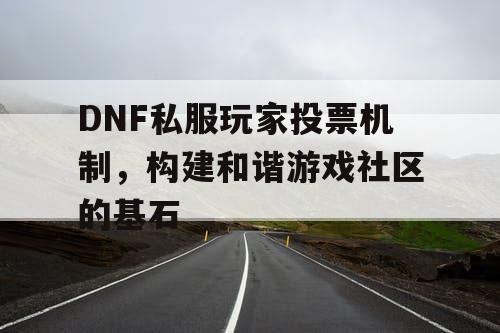 DNF私服玩家投票机制，构建和谐游戏社区的基石