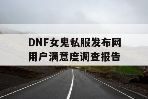 DNF女鬼私服发布网用户满意度调查报告