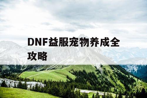 DNF益服宠物养成全攻略