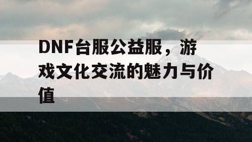 DNF台服公益服，游戏文化交流的魅力与价值