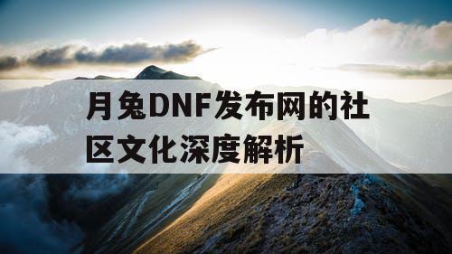 月兔DNF发布网的社区文化深度解析