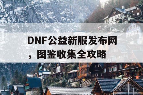 DNF公益新服发布网	，图鉴收集全攻略