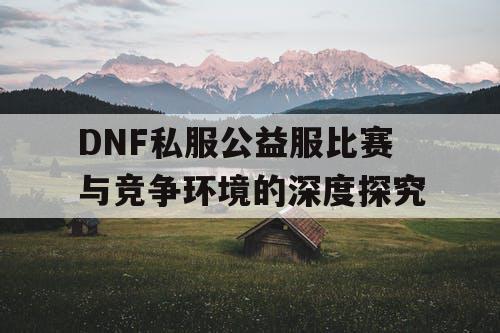 DNF私服公益服比赛与竞争环境的深度探究