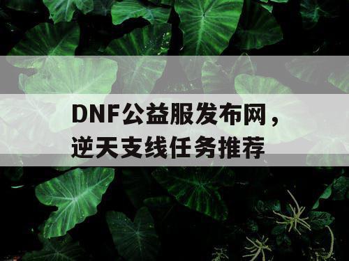 DNF公益服发布网	，逆天支线任务推荐