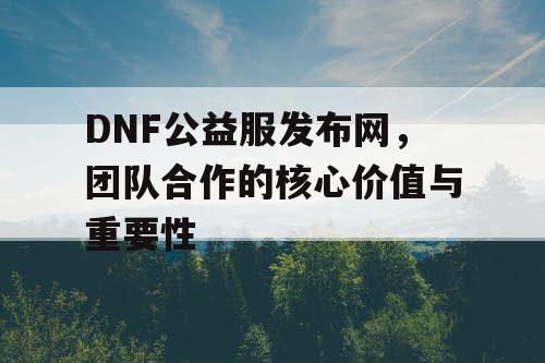 DNF公益服发布网	，团队合作的核心价值与重要性