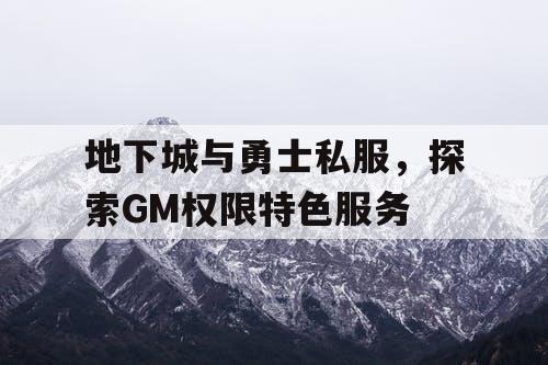 地下城与勇士私服，探索GM权限特色服务