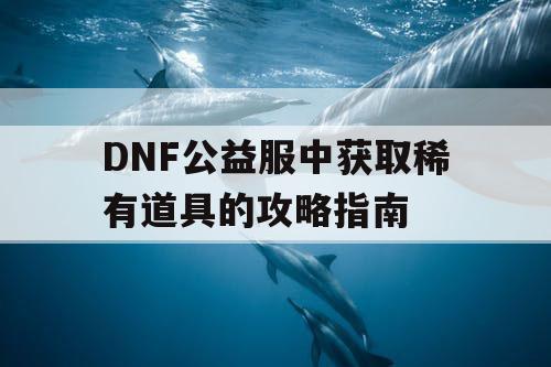 DNF公益服中获取稀有道具的攻略指南