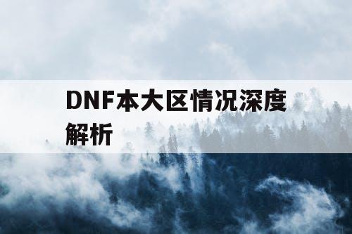 DNF本大区情况深度解析