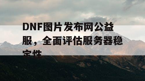 DNF图片发布网公益服，全面评估服务器稳定性