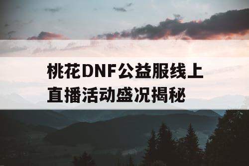 桃花DNF公益服线上直播活动盛况揭秘