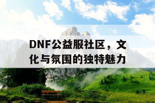 DNF公益服社区，文化与氛围的独特魅力