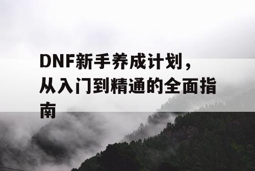 DNF新手养成计划，从入门到精通的全面指南