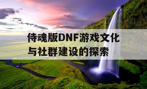 侍魂版DNF游戏文化与社群建设的探索