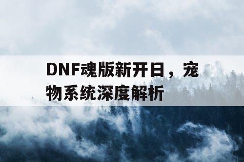 DNF魂版新开日	，宠物系统深度解析