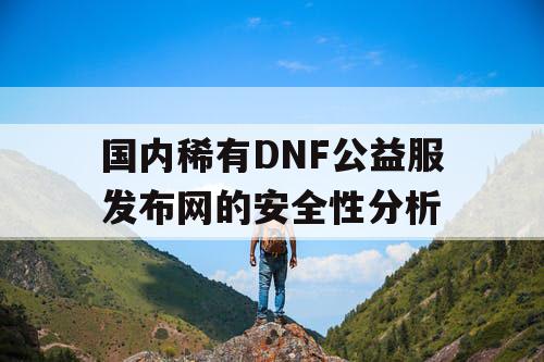 国内稀有DNF公益服发布网的安全性分析