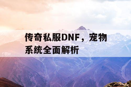 传奇私服DNF，宠物系统全面解析