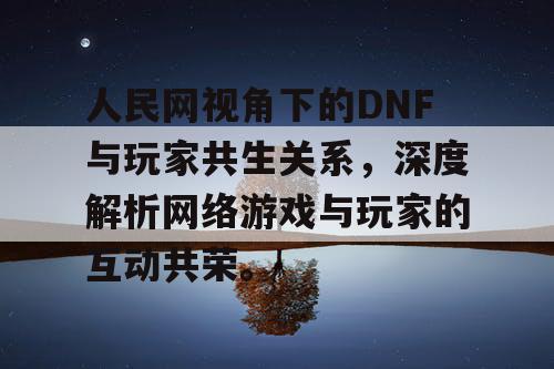 人民网视角下的DNF与玩家共生关系，深度解析网络游戏与玩家的互动共荣	。